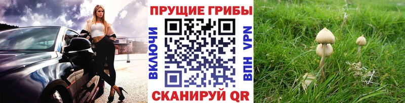 даркнет сайт  Ленск  Галлюциногенные грибы мицелий 